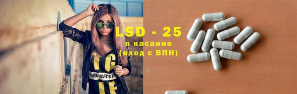 ПСИЛОЦИБИНОВЫЕ ГРИБЫ Богданович