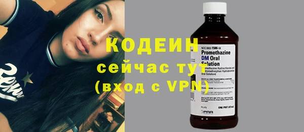 ПСИЛОЦИБИНОВЫЕ ГРИБЫ Богданович