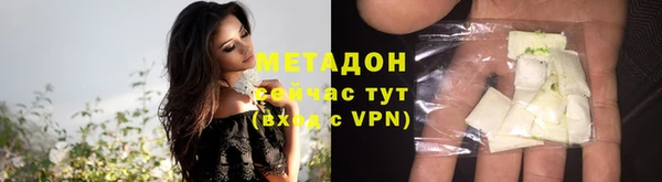 ПСИЛОЦИБИНОВЫЕ ГРИБЫ Богданович