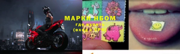 ПСИЛОЦИБИНОВЫЕ ГРИБЫ Богданович