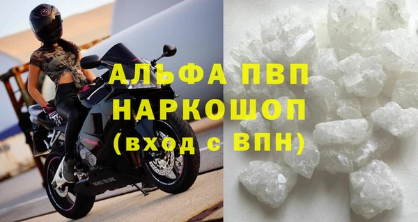 ПСИЛОЦИБИНОВЫЕ ГРИБЫ Богданович