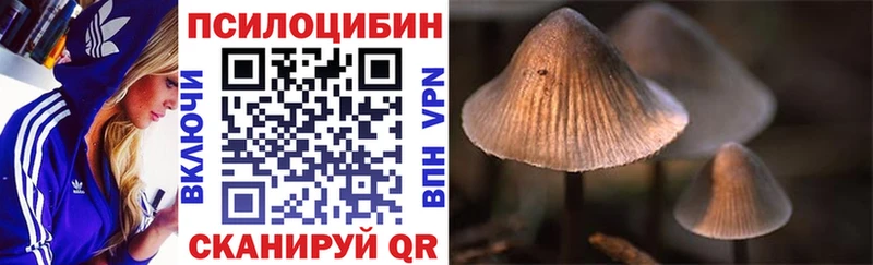 Псилоцибиновые грибы Psilocybine cubensis omg ссылки Балашов